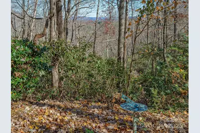 2508 Carriage Falls Court, Hendersonville, NC 28791 - Photo 32