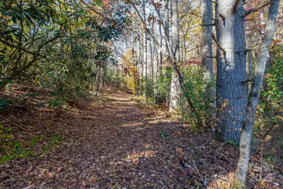 914 Catheys Creek Church Road, Brevard, NC 28712 - Photo 10