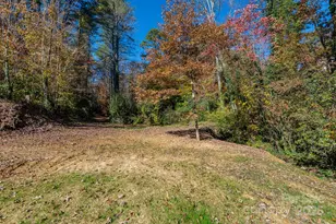 914 Catheys Creek Church Rd, Brevard, NC 28712 - Photo 8