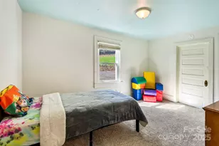 914 Catheys Creek Church Rd, Brevard, NC 28712 - Photo 24