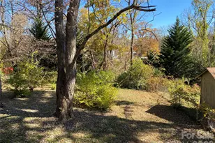 24 Ridge Ave, Asheville, NC 28803 - Photo 36