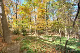 1360 Betsy Dr, Charlotte, NC 28211 - Photo 38