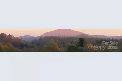 119 Tryon View Drive, Flat Rock, NC 28731 - Photo 22