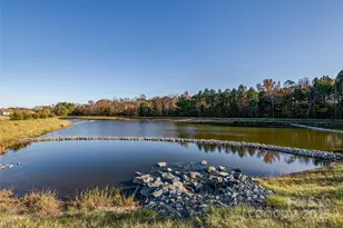 12445 Belmont Mansion Dr, Charlotte, NC 28273 - Photo 44