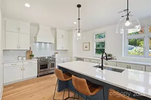 1724 Belvedere Ave, Charlotte, NC 28205 - Photo 4