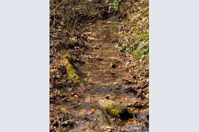 99999 Bay Horse Trail, Candler, NC 28715 - Photo 6