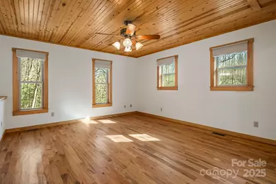 7158 Max Patch Road, Hot Springs, NC 28743 - Photo 20