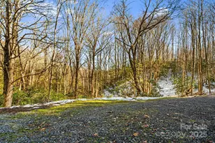 7158 Max Patch Rd, Hot Springs, NC 28743 - Photo 28