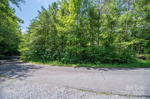 Lot 40 Line Dr, Forest City, NC 28043 - Photo 1