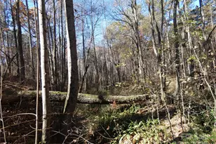 150 Fonda Rd, Statesville, NC 28677 - Photo 30