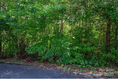 Lot 33 Line Drive, Forest City, NC 28043 - Photo 2