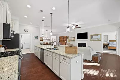 1541 Hedge Apple Road, Clover, SC 29710 - Photo 14