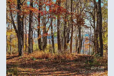 2626 Dendy Orchard Road, Highlands, NC 28741 - Photo 18