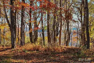 2626 Dendy Orchard Rd, Highlands, NC 28741 - Photo 18