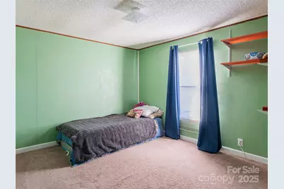 55 Morgan Road, Weaverville, NC 28787 - Photo 18