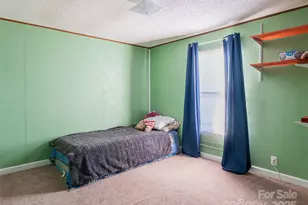 55 Morgan Rd, Weaverville, NC 28787 - Photo 18