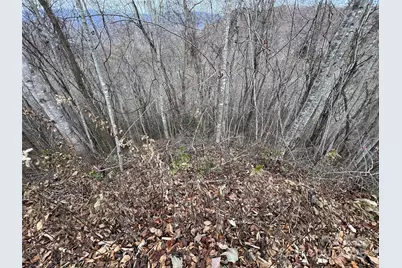 Lot 7 Deer Ridge Road, Bryson City, NC 28713 - Photo 4