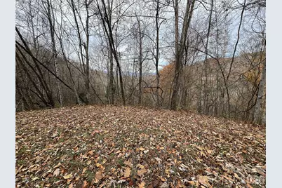 Lot 7 Deer Ridge Road, Bryson City, NC 28713 - Photo 2