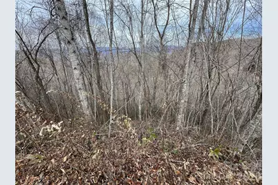 Lot 7 Deer Ridge Road, Bryson City, NC 28713 - Photo 4