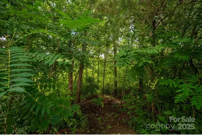 Lot 35 Line Drive, Forest City, NC 28043 - Photo 2