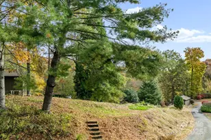 100 Beech Valley Estate, Weaverville, NC 28787 - Photo 34