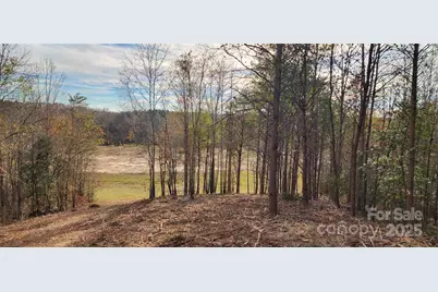 151 Cobb Road, Blacksburg, SC 29702 - Photo 24