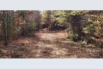 151 Cobb Road, Blacksburg, SC 29702 - Photo 22