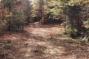 151 Cobb Rd, Blacksburg, SC 29702 - Photo 22