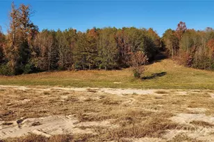 151 Cobb Rd, Blacksburg, SC 29702 - Photo 26