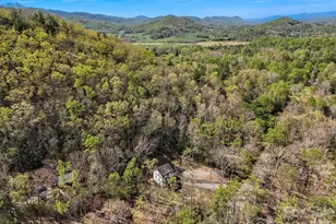 337 Garren Creek Rd, Fairview, NC 28730 - Photo 6