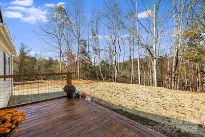 398 Dogwood Drive, Bakersville, NC 28705 - Photo 42