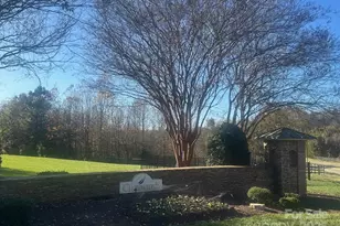 133 N Audubon Ave, Mooresville, NC 28117 - Photo 44