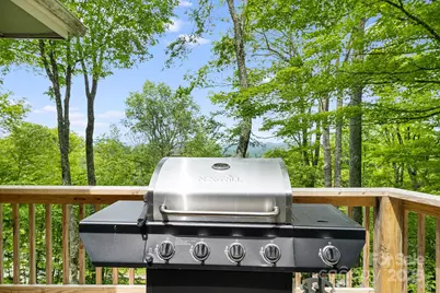 170 Lucas Lane, Mars Hill, NC 28754 - Photo 42