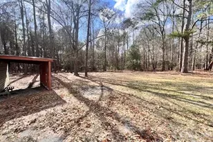 405 W Inwood St, Bethune, SC 29009 - Photo 18