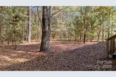 2627 McCallum Road, Candor, NC 27229 - Photo 6