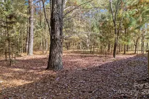 2627 McCallum Rd, Candor, NC 27229 - Photo 6