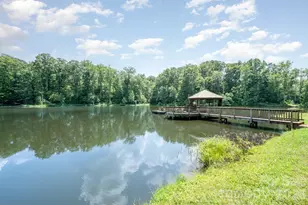 269 Wester Brewlands Rd, Iron Station, NC 28080 - Photo 48