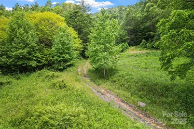 X Bee Branch Road, Bakersville, NC 28705 - Photo 8