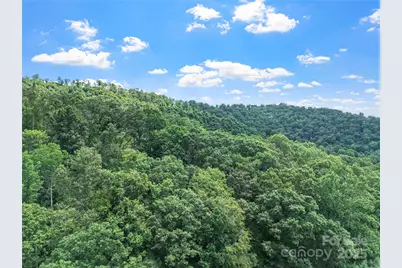 X Bee Branch Road, Bakersville, NC 28705 - Photo 4