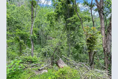 X Bee Branch Road, Bakersville, NC 28705 - Photo 14