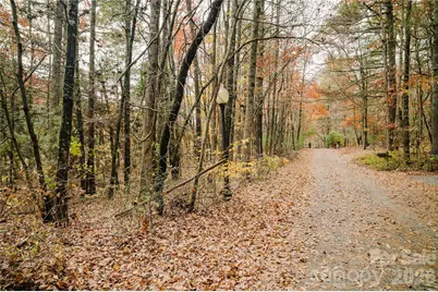 107 Sugar Mill Woods Drive, Zirconia, NC 28790 - Photo 32