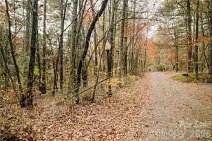 107 Sugar Mill Woods Dr, Zirconia, NC 28790 - Photo 32