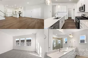 8668 Miles Gap Rd, Indian Land, SC 29707 - Photo 42