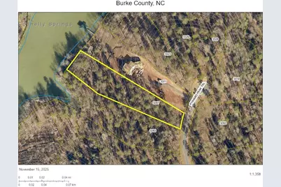 3297 Pyramid Peak Trail #217, Connelly Springs, NC 28612 - Photo 4