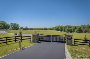 297 Mountain Meadows Ln, Tryon, NC 28782 - Photo 4