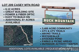 Tbd Casey Mountain Rd, Purlear, NC 28665 - Photo 1