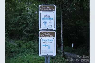 Tbd Casey Mountain Road #209, Purlear, NC 28665 - Photo 26