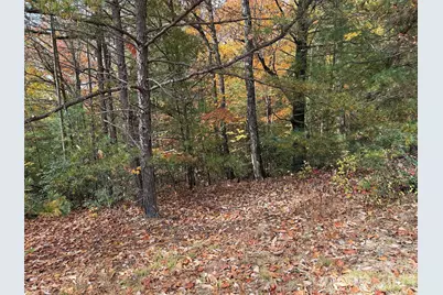 Tbd Casey Mountain Road #209, Purlear, NC 28665 - Photo 6