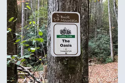 Tbd Buck Mountain Road #96, Purlear, NC 28665 - Photo 24