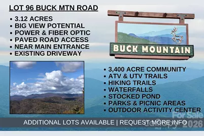 Tbd Buck Mountain Road #96, Purlear, NC 28665 - Photo 1